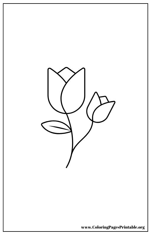 Simple tulip bud coloring page