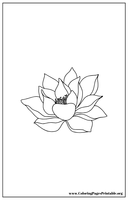 Lotus flower coloring page with layered petals