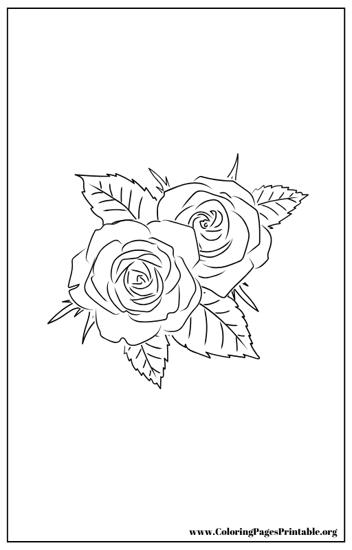 Two roses with leaves coloring page.