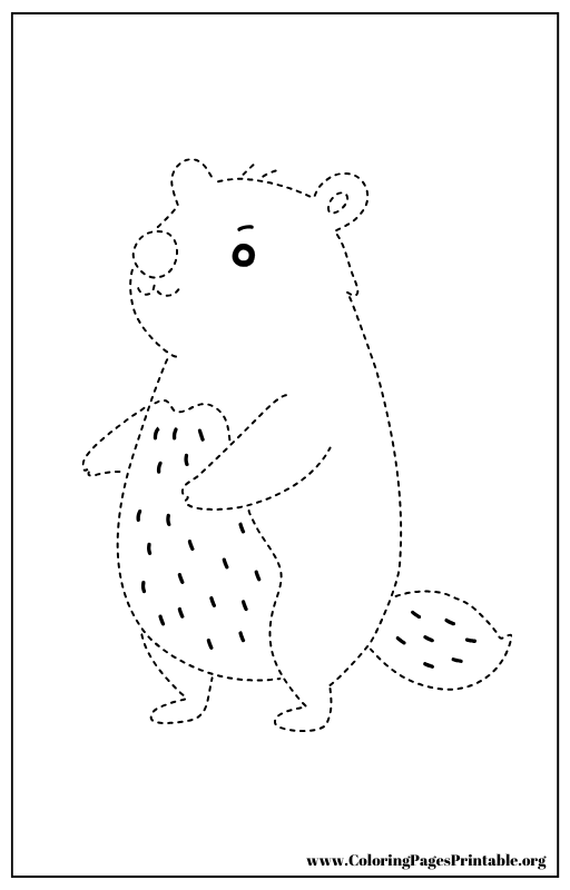 Beaver with dotted lines coloring page