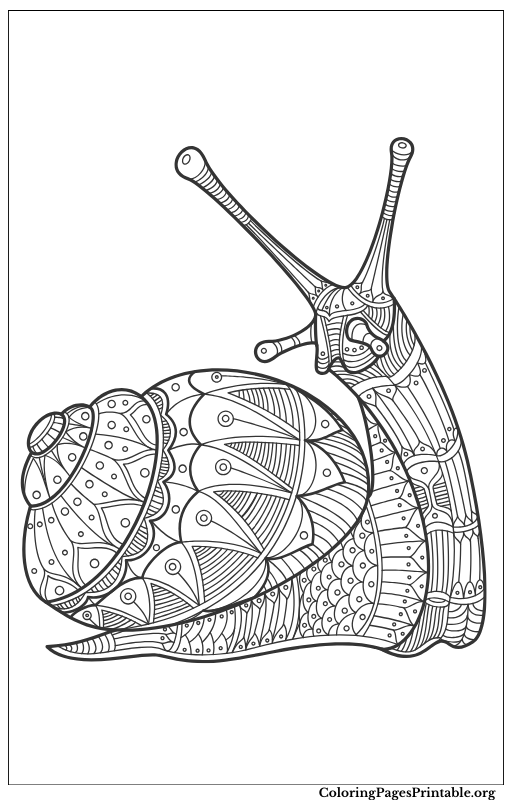  Intricate snail crawling on leaves.