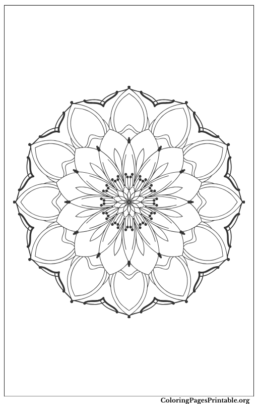 Symmetrical floral mandala design.