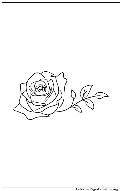 Horizontal rose with a stem and leaves.