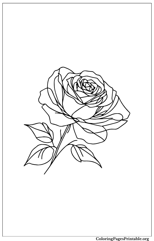 Rose with detailed petals and a side view.