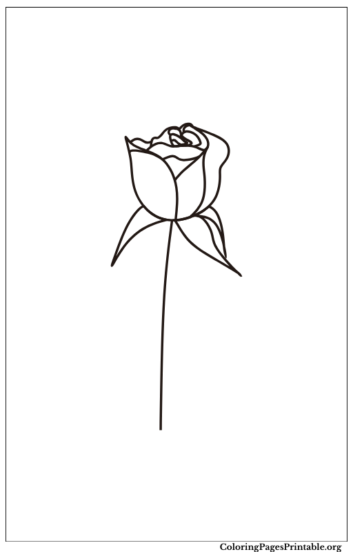 Rosebud with a simple stem.
