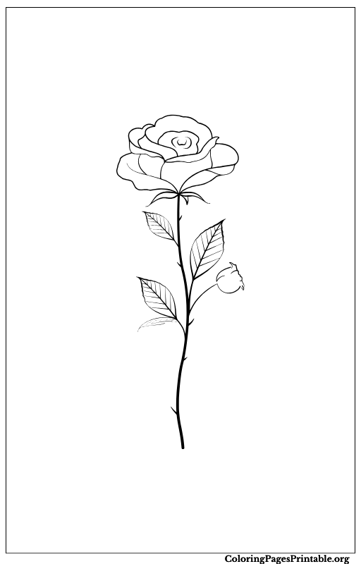 Simple rose on a long stem.