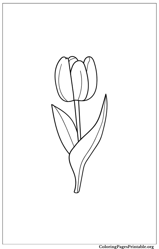 Single tulip flower illustration.